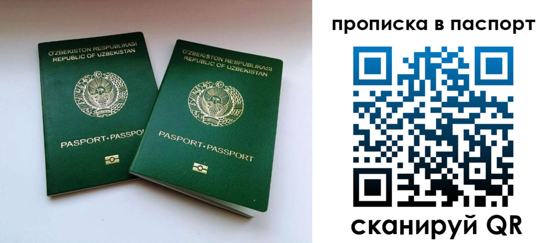 временная регистрация в Дальнегорске